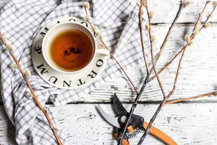 kpardell autotone willow and shears-8015