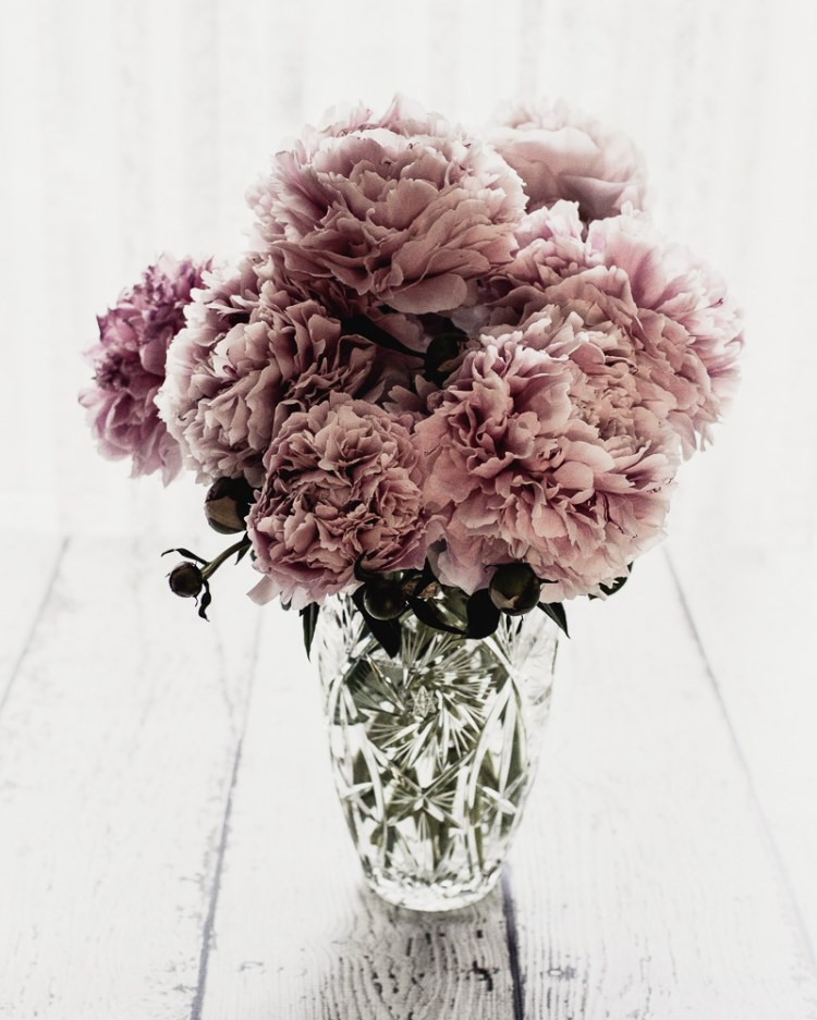 kpardell chocolate peonies-8972