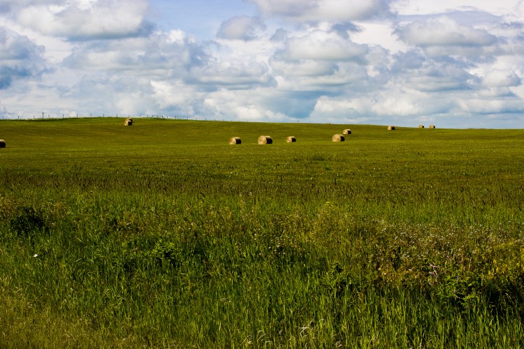 kpardell Joanne pics-9731