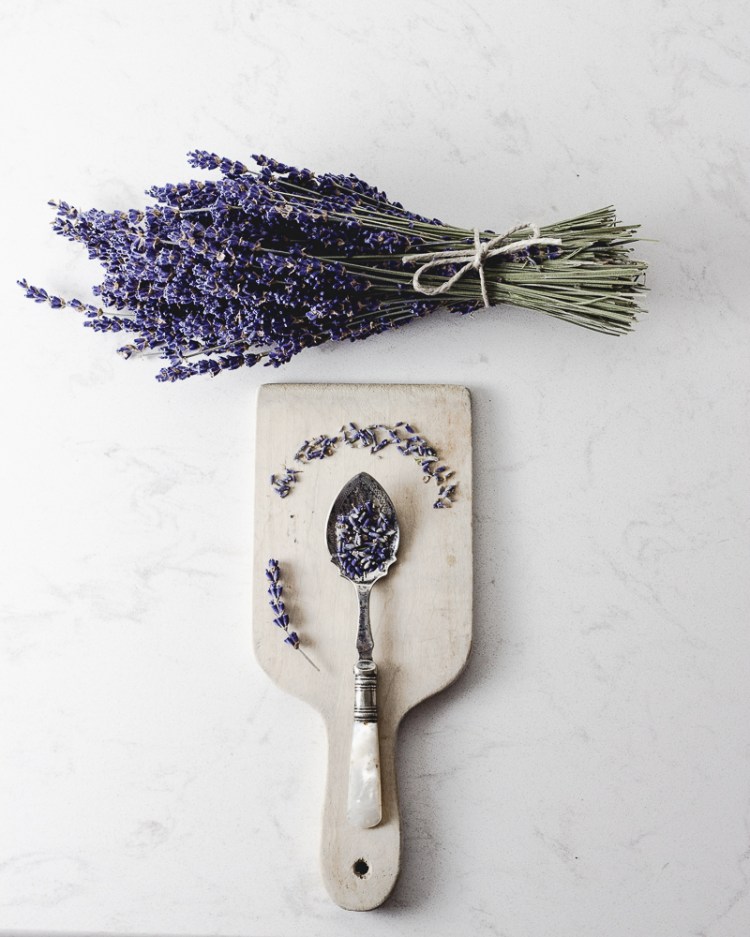 kpardell oslight1 lavendar-0139