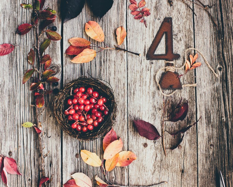 kpardell-drama1resize-0935