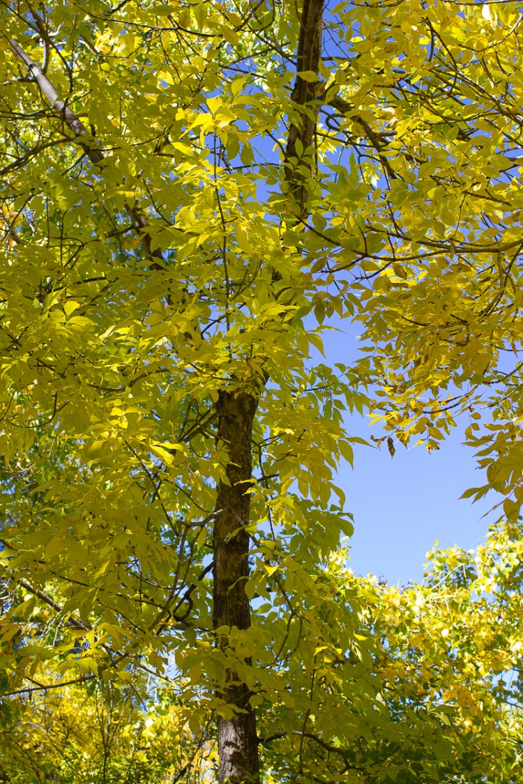 kpardell-landscape-0927