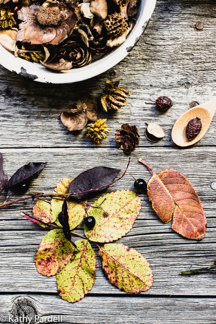 kpardell-moodyish-leaves-3-0727