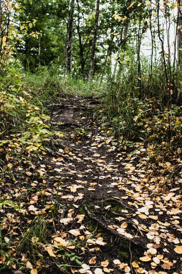 kpardell-moodyish-walk-1061