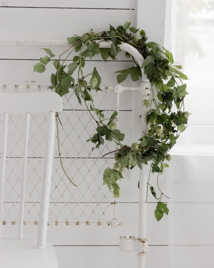 kpardell-olight3-wreath-1245