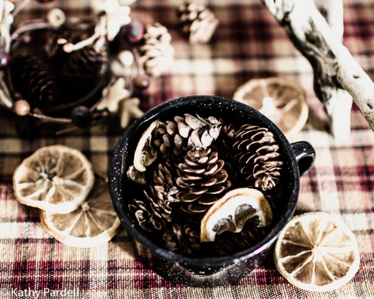 kpardell-organic-pine-cones-0677