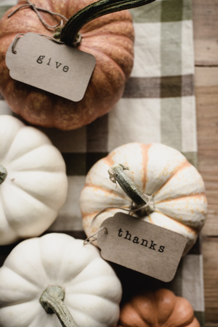 kpardell-olight-pumpkins-1813