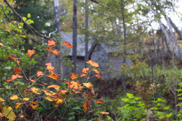 kpardell-lovers-lane-pei-3-2246