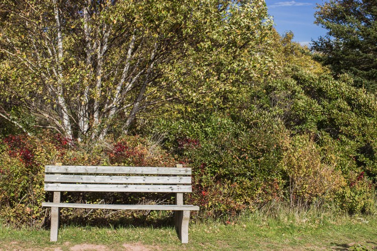 kpardell-park-trail-2-pei-2134
