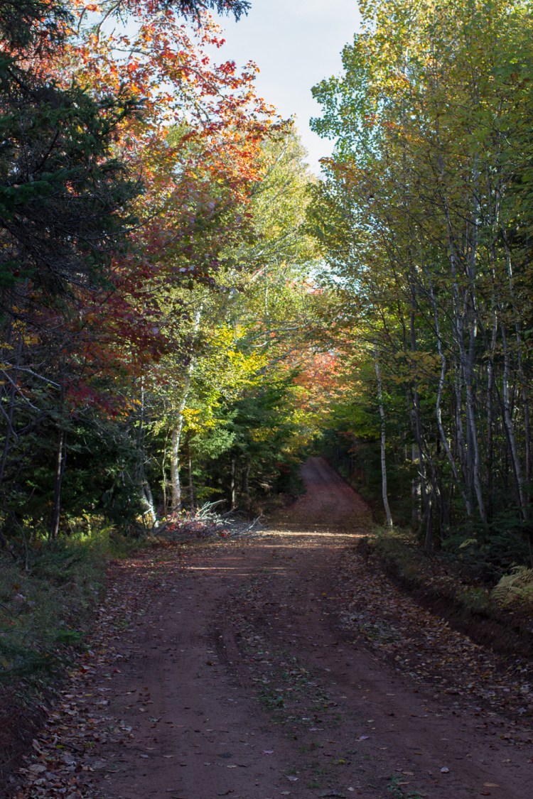 kpardell-scenic-heritage-road-2-2082