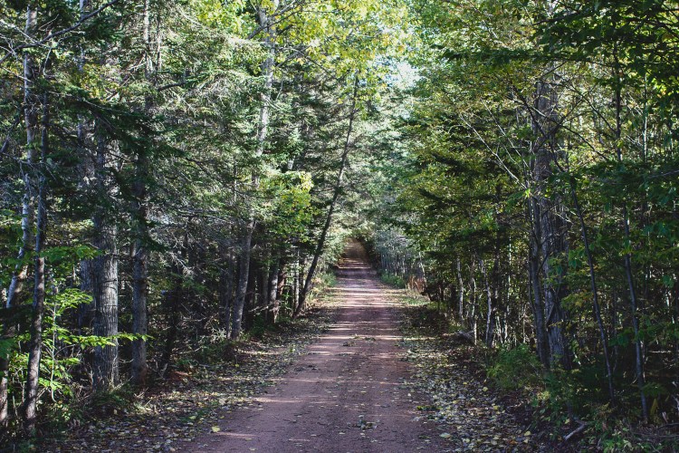 kpardell-scenic-heritage-road-2070