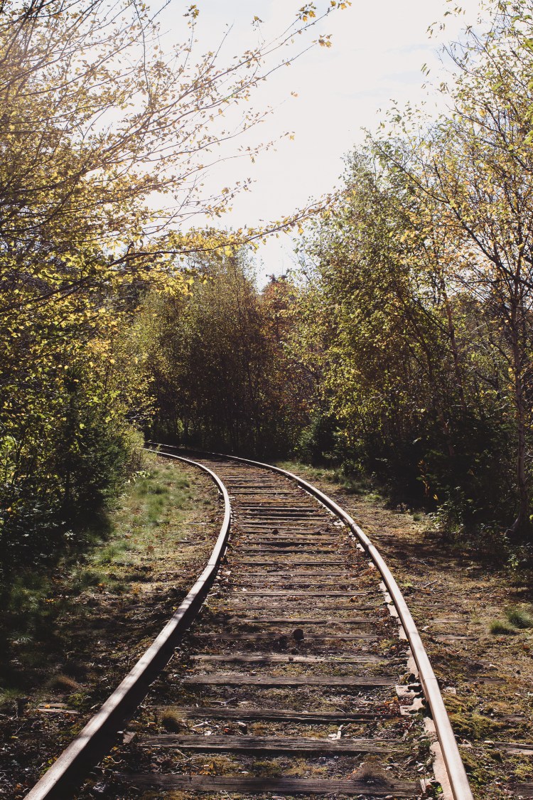 kpardell-train-track-2-pei-2125