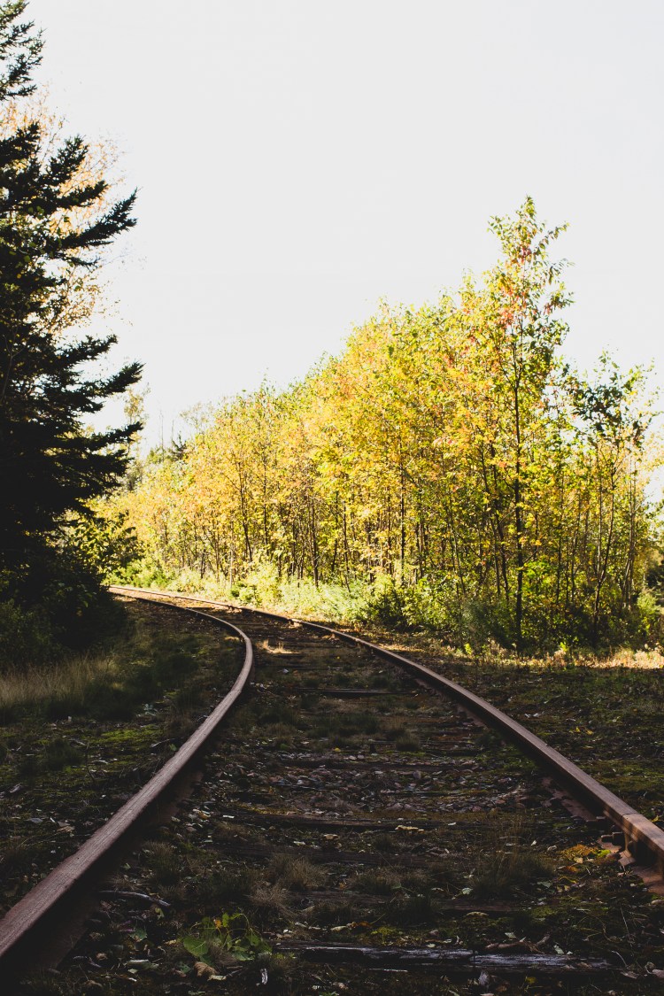 kpardell-train-track-pei-2123
