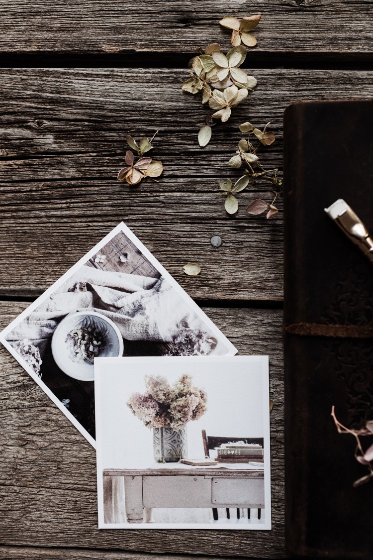 kpardell camel journal 2-20173505