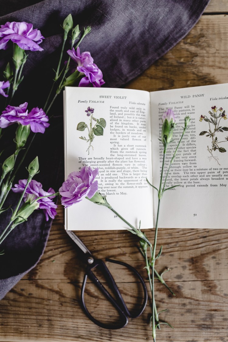 kpardell dark purple observer book-20173824