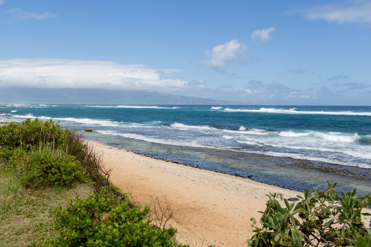 kpardell hawaii-20174239