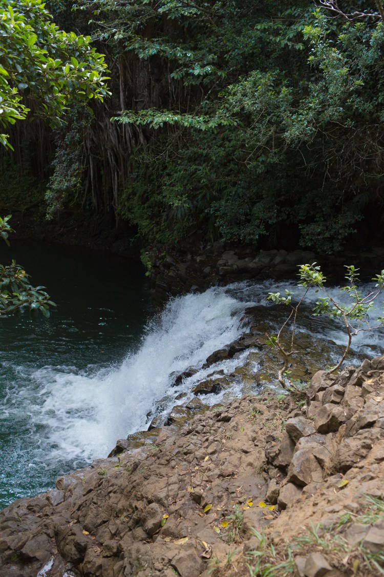 kpardell hawaii-20174250