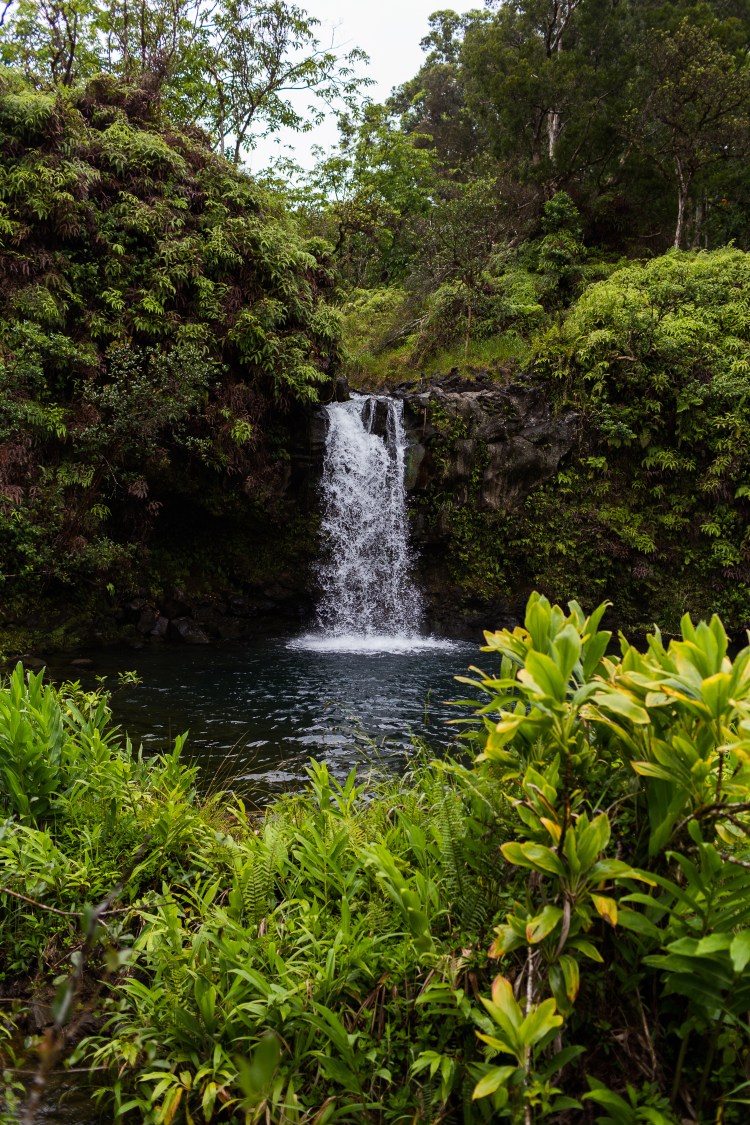 kpardell hawaii-20174280