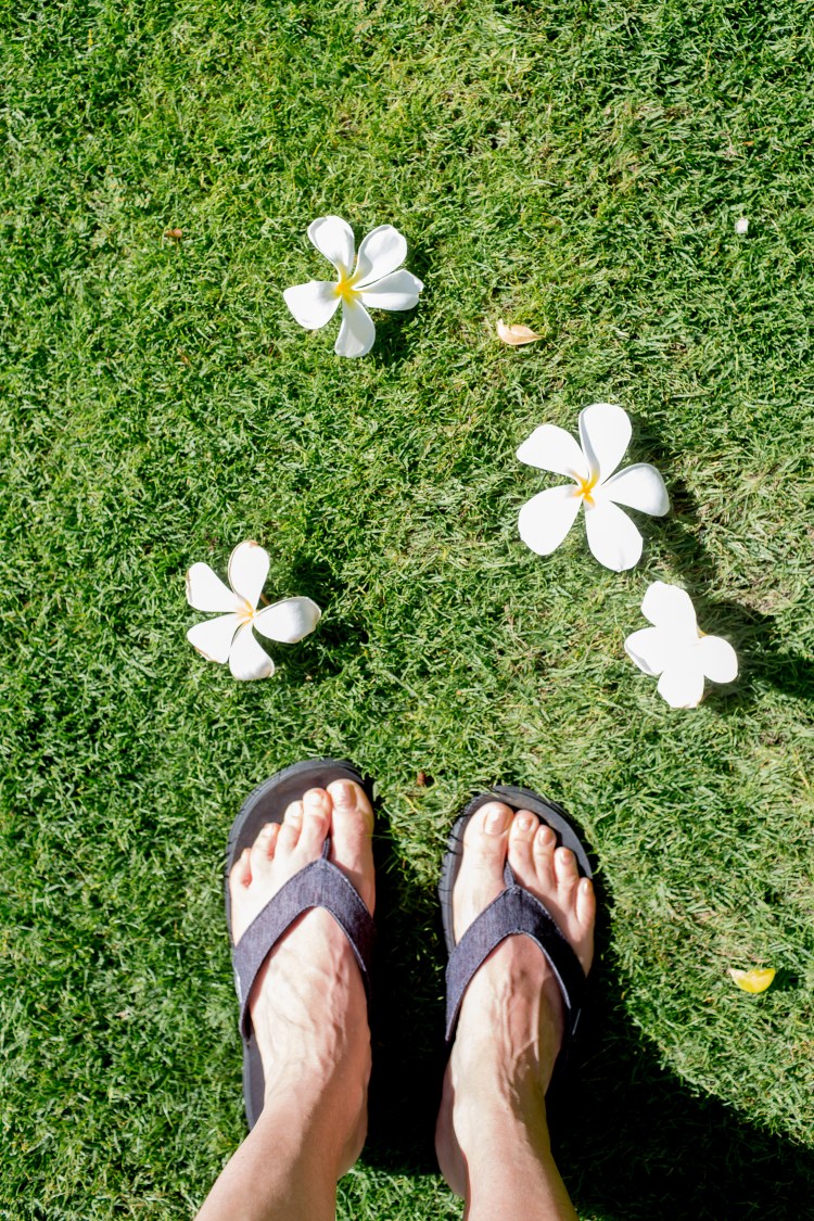 kpardell hawaii-20174360