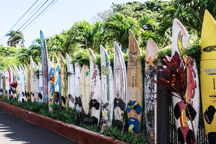 kpardell surfboards horizontal-20174234