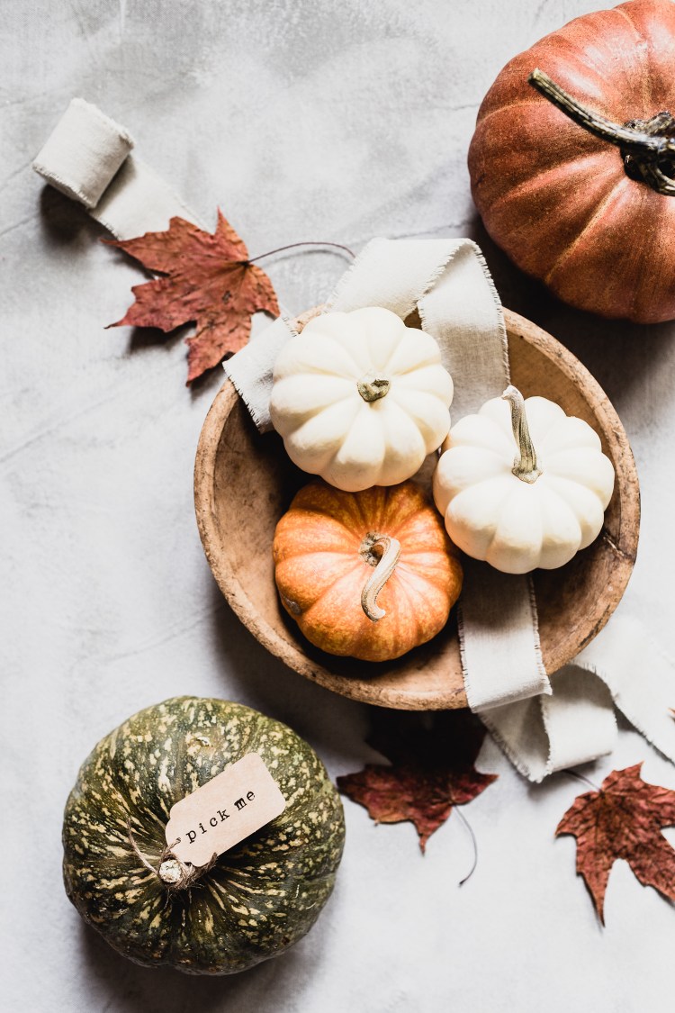 kpardell pumpkin group 2-20176507