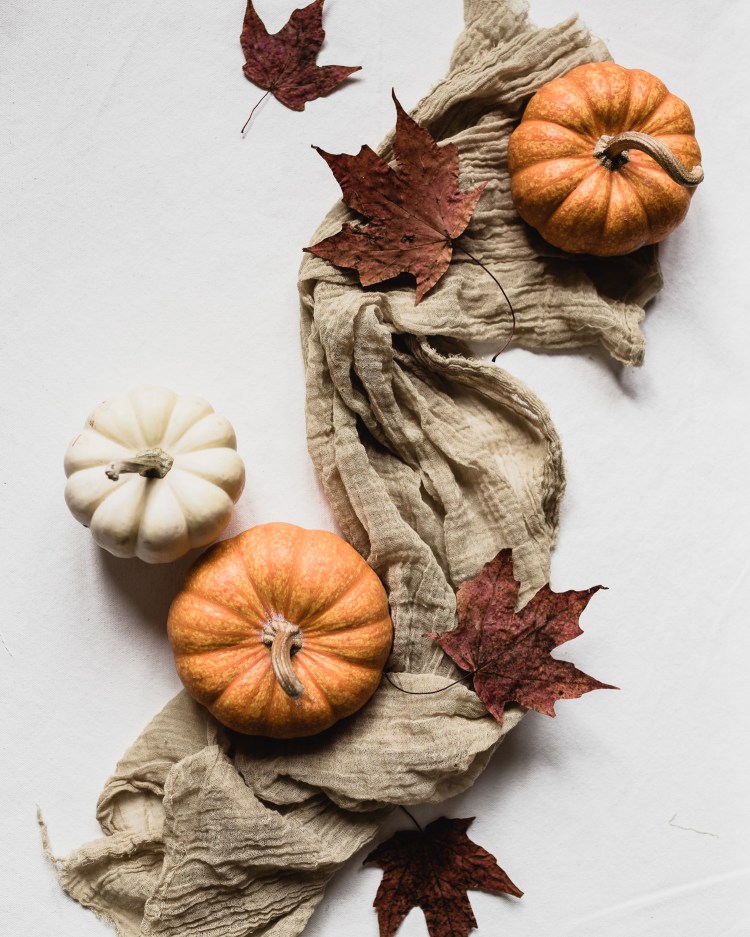 kpardell sunday pumpkin swirl-20176517