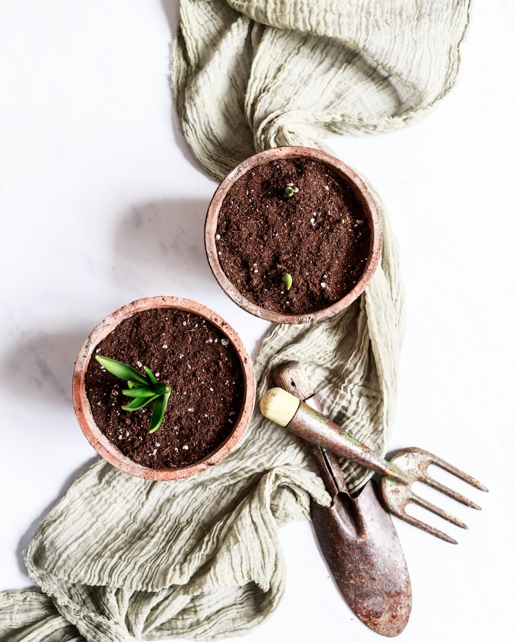 kpardell light hyacinth bulbs-20187372