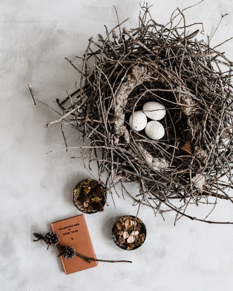 kpardell raw nest eggs-