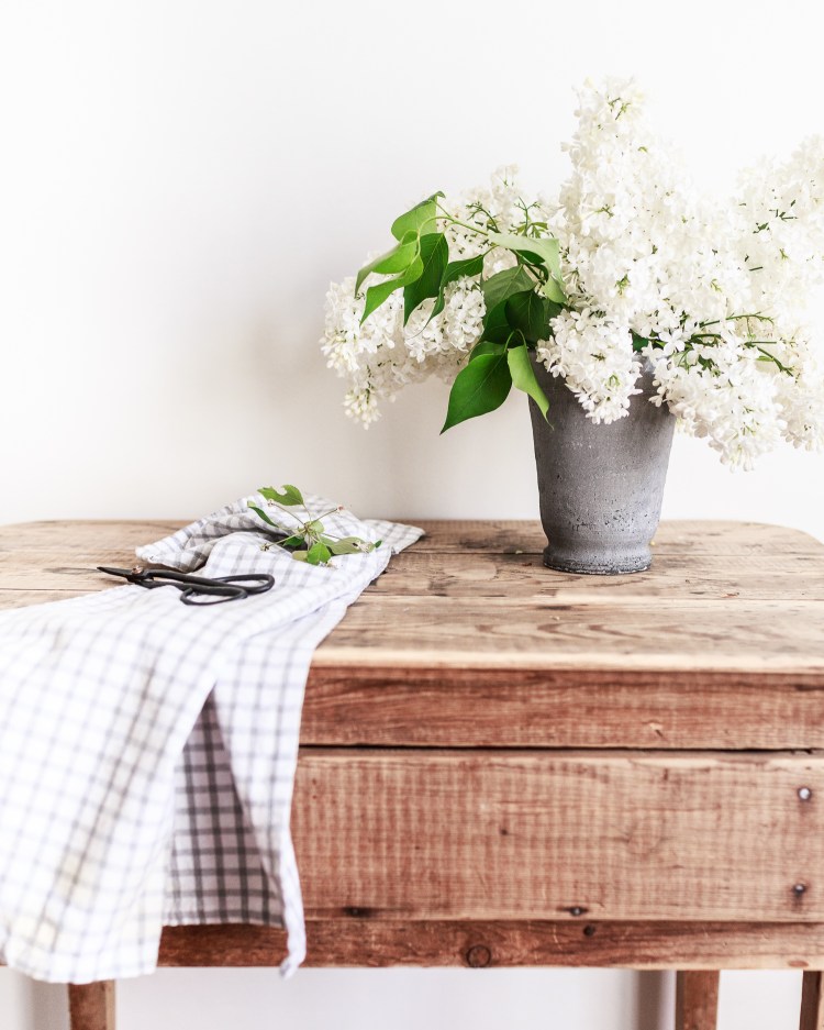 kpardell white lilac bunch-20187647