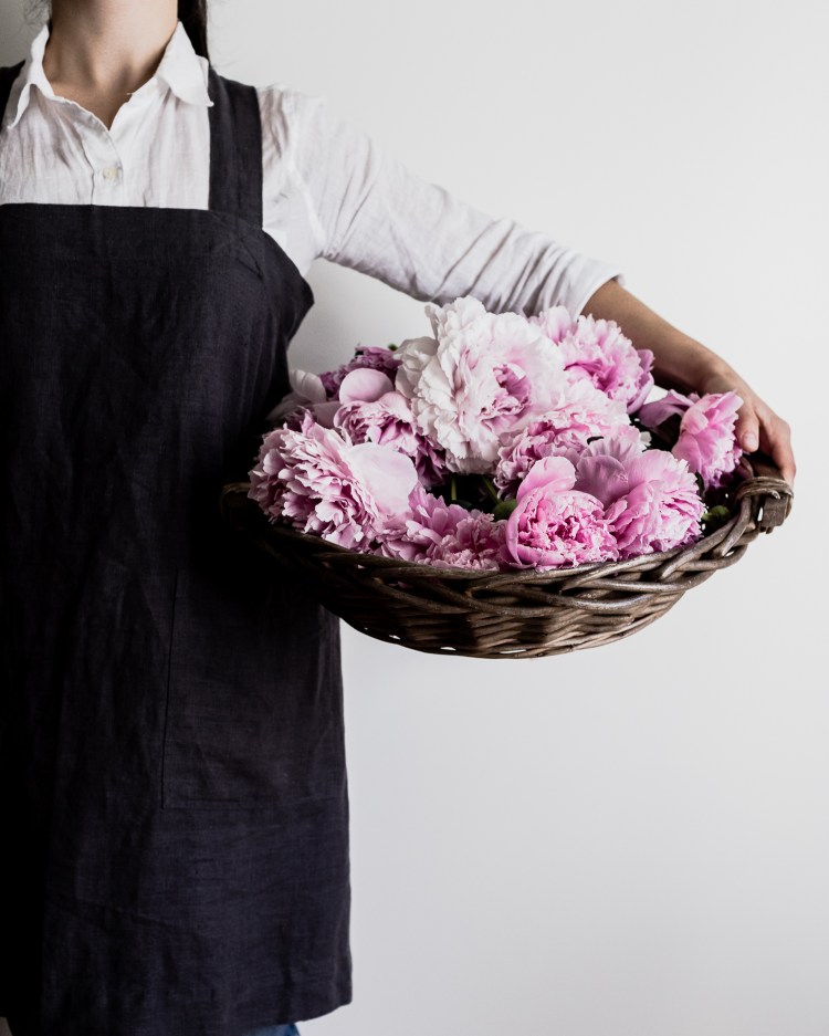 kpardell peonies-20187956