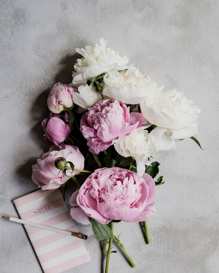 kpardell peonies and notebook-
