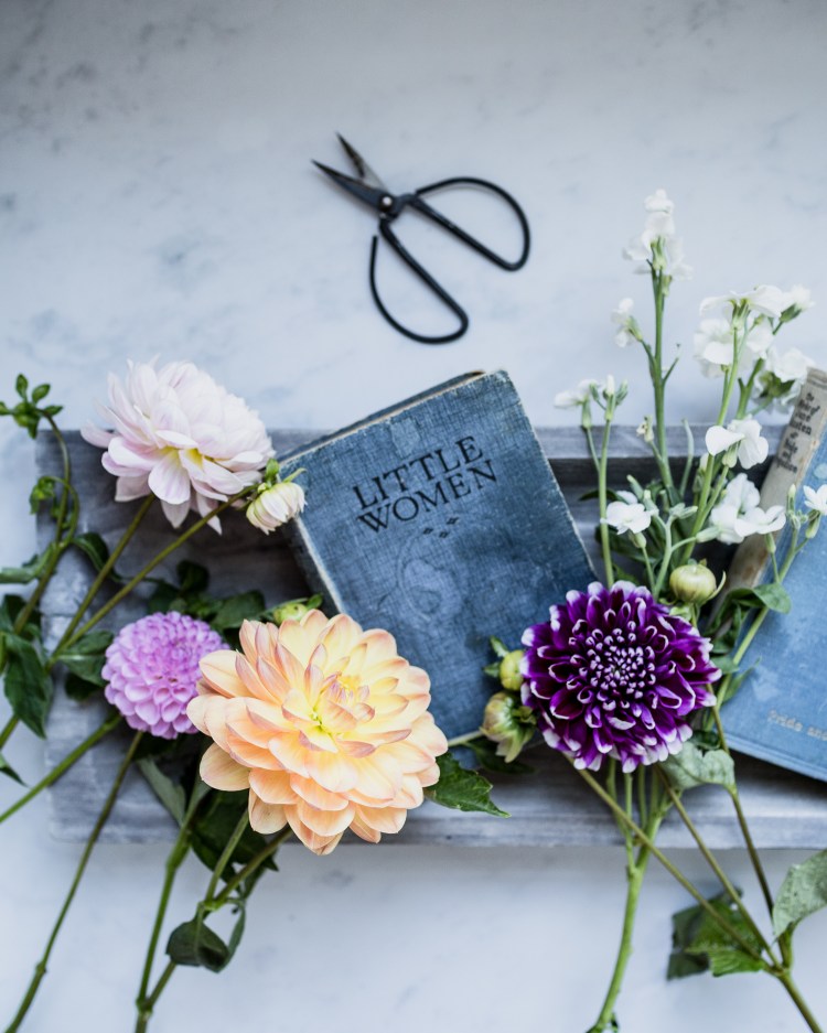 kpardell thursday book-20199686