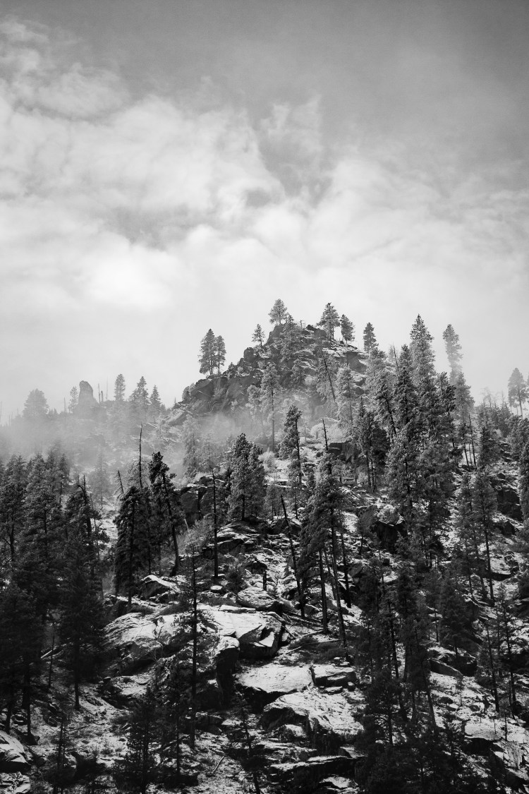 kpardell landscapes-20199859