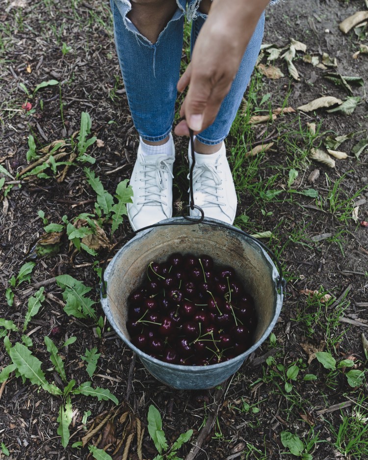 kpardell onair cherries-20202289