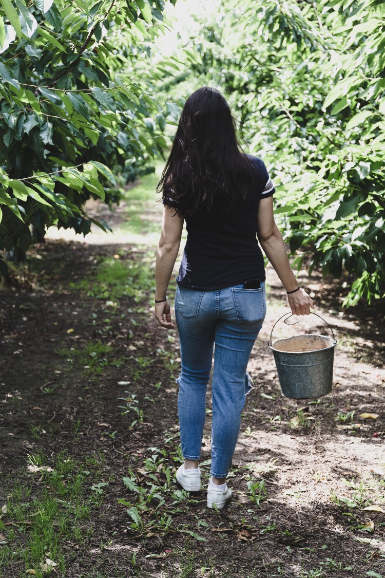 kpardell onair cherries-20202302